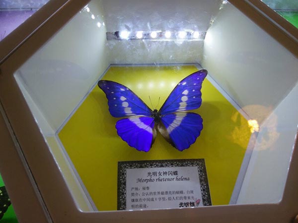 2014年公司員工活動——“蝶谷-靖港古鎮(zhèn)- 銅官窯一日自駕游” 2014年公司員工活動——“蝶谷-靖港古鎮(zhèn)- 銅官窯一日自駕游”